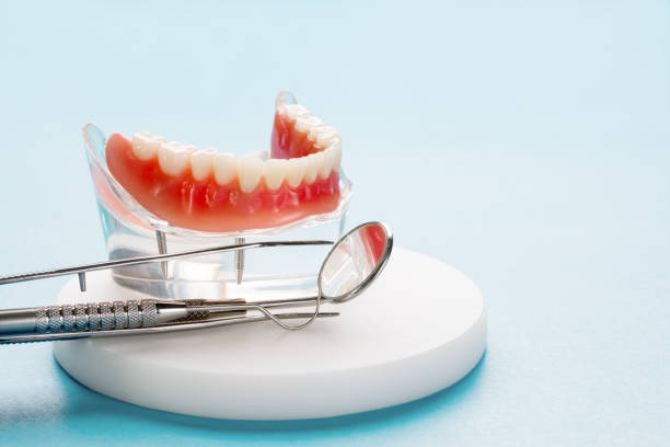 Professional Holistic Dental Care Services in Porter, IN